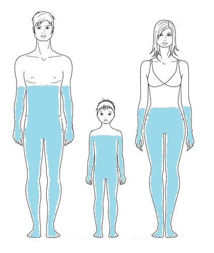 Schéma porovnávajúca obsah vody v mužskom a ženskom tele