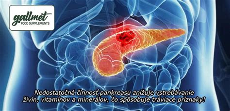 infografika zobrazujúca hlavné benefity detoxikačných čajov (podpora metabolizmu, zlepšenie trávenia, detoxikácia)