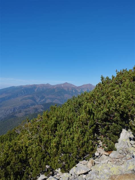Ilustračná fotografia slovenskej prírody a kúpeľného prostredia