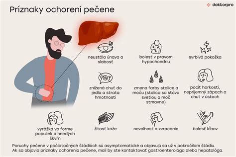 Infografika znázorňujúca príznaky ochorenia pečene u psov