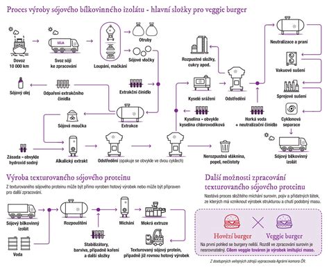 infografika vysvetľujúca proces výroby aktívneho uhlia z rastlinných surovín