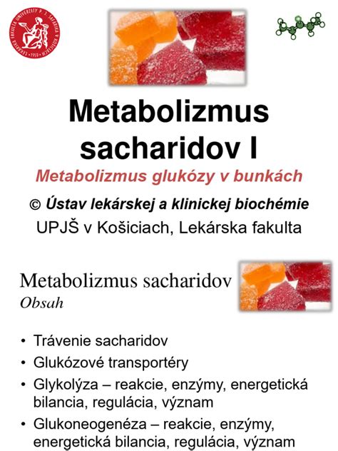 Infografika znázorňujúca metabolizmus sacharidov v tele.