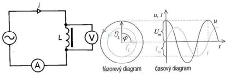 Grafické znázornenie rozdielu v spaľovaní kalórií medzi svalovou a tukovou hmotou v pokoji