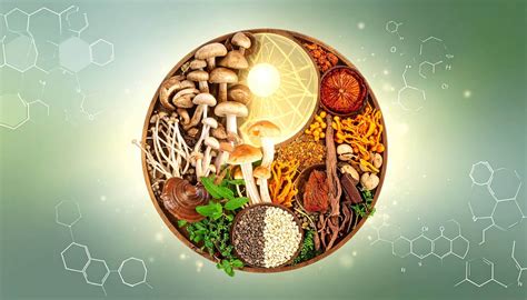 obrázok čínskych bylín a húb používaných v TCM