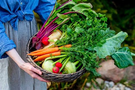 Ilustračný obrázok rôznych druhov ovocia a zeleniny ako symbol zdravej stravy pri chudnutí