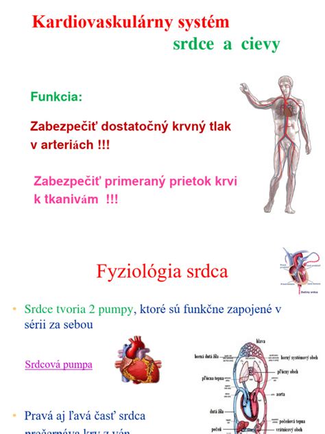 Infografika znázorňujúca rovnováhu medzi príjmom a výdajom kalórií a vplyv spánku a pohybu na metabolizmus.