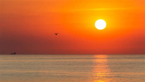 Bežec v prírode počas východu slnka.