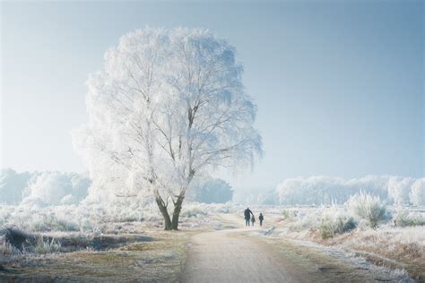 Fotografia zimnej krajiny s kurínom a napájadlom