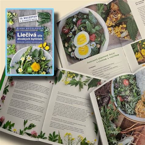 Ilustrácia rôznych byliniek a ich zrelých plodov.