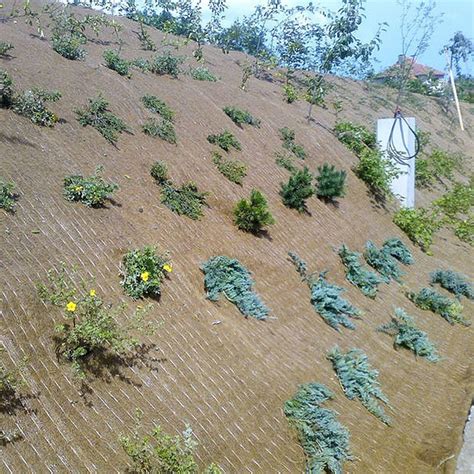 Zobrazenie laserovej liposukcie s dôrazom na spevnenie pokožky.