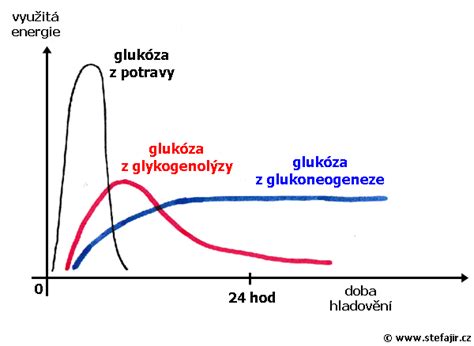 štruktúra molekuly glukózy