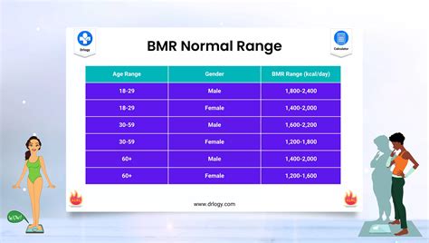 Porovnanie BMR a BMI s vysvetlením.