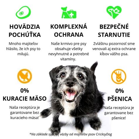 Infografika zobrazujúca kľúčové živiny pre starších psov a ich zdroje.