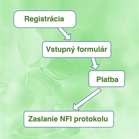 Ilustrácia znázorňujúca rozmanitosť rastlinných potravín vhodných pre NFI protokol
