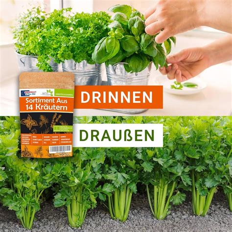 Fotografia rôznych druhov medu a byliniek