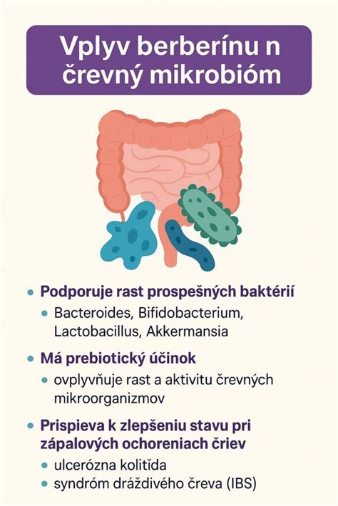 ilustrácia znázorňujúca črevný mikrobióm a jeho vplyv na zdravie