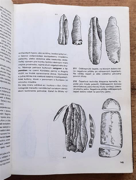 Ilustrácia pravekého človeka loviaceho zver a zbierajúceho plody