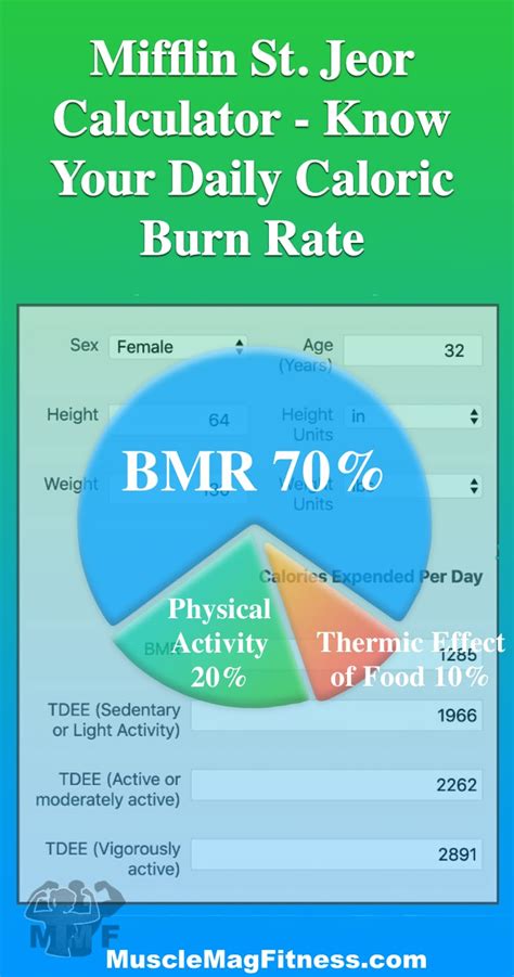 Infografika zobrazujúca vzorce pre výpočet bazálneho metabolizmu (Mifflin-St. Jeor, Harris-Benedict, Katch-McArdle).