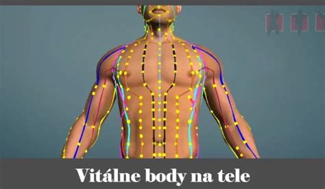 Ilustrácia meridiánov a akupunktúrnych bodov na ľudskom tele