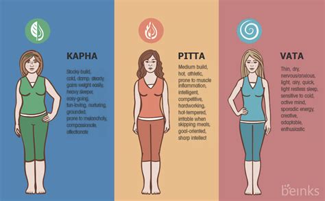 Ilustrácia troch dóš (Váta, Pitta, Kapha) s ich typickými fyzickými a povahovými črtami