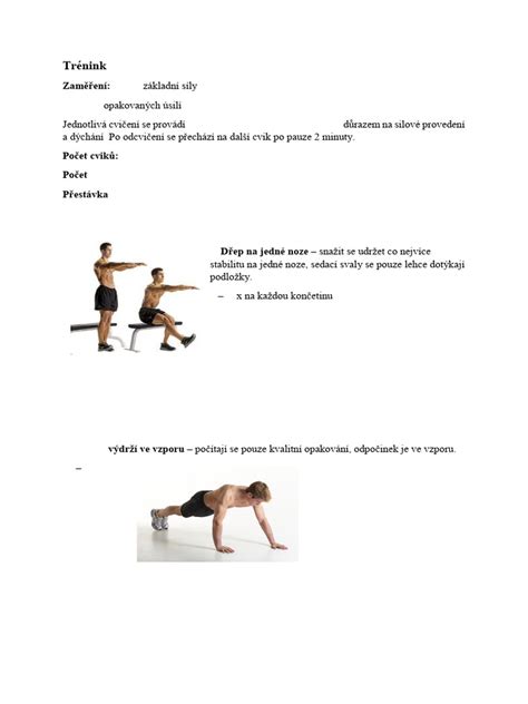 Koláž obrázkov s ukážkami základných silových cvikov (drep, výpad, plank)