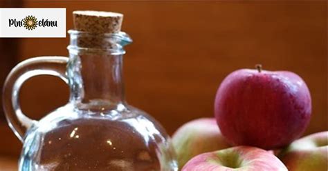 Ilustrácia jabĺk a fľaše s jablčným octom