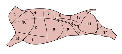 schematické znázornenie viscerálneho a podkožného tuku