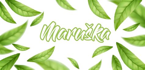 Ilustrácia rôznych foriem moringy: prášok, tablety, čajové lístky, olej.