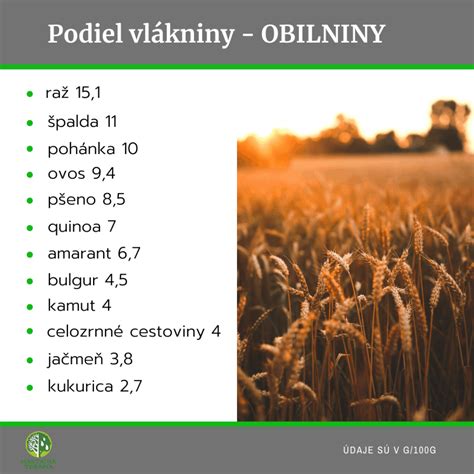 Infografika zobrazujúca príklady zdravých jedál s vysokým obsahom bielkovín a vlákniny.