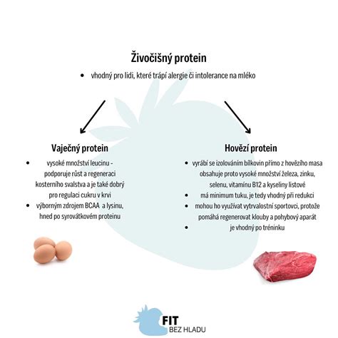 Vizualizácia porovnania fyzického a emocionálneho hladu s jasnými rozdielmi v nástupe, intenzite a preferenciách jedla.