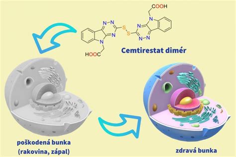 Schéma mechanizmu účinku kavitácie na tukové bunky