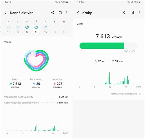 Ilustrácia smartfónu s fitness aplikáciou zobrazujúcou štatistiky cvičenia.