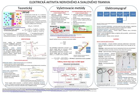 Porovnanie energetického výdaja tukového a svalového tkaniva v pokoji.