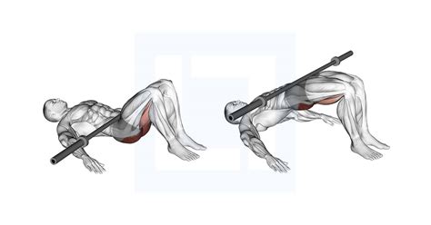 Séria obrázkov znázorňujúcich jednotlivé cviky: drepy, výpady, mŕtvy ťah, glute bridge, hip thrust, výstupy na lavičku, zanožovanie/unožovanie, mušľa.