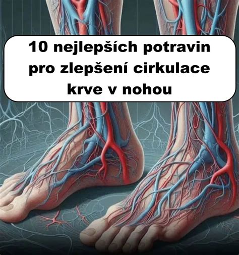 Ilustrácia znázorňujúca cirkuláciu krvi a lymfy v nohách s kompresívnymi legínami.