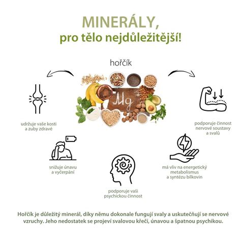 Infografika zobrazujúca hlavné vitamíny a minerály obsiahnuté v yerba maté.