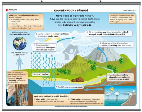 Infografika znázorňujúca vzťah rastliny k abiotickým faktorom prostredia