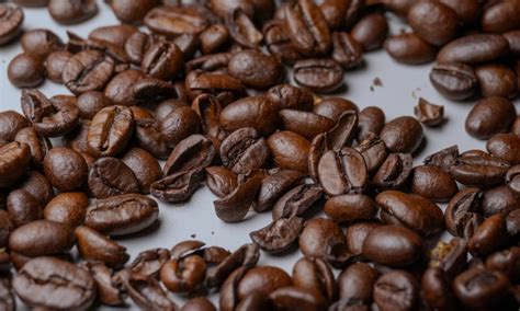 Ilustrácia znázorňujúca rôzne formy zelenej kávy (zrná, mletá, kapsuly).