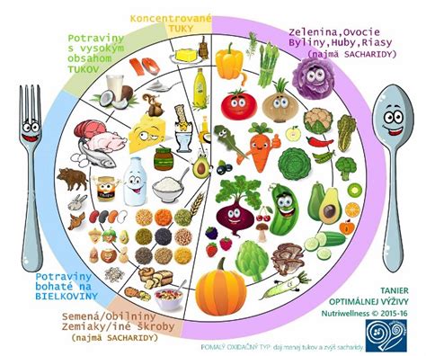 Ilustrácia taniera so zdravou stravou podľa princípu 