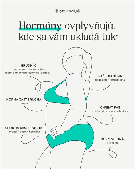 Ilustrácia znázorňujúca oblasť brucha a pása s vyznačenými rizikovými zónami pre ukladanie tuku.