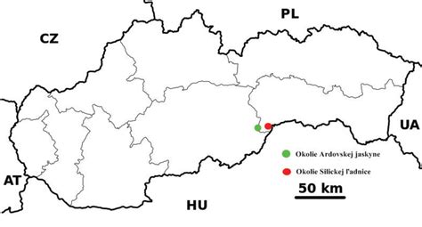 schéma tumescentnej liposukcie s vyznačením zavedenia kanyly a odsávania tuku