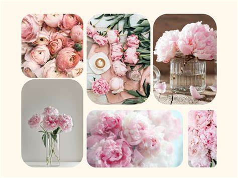 Koláž rôznych typov náplastí na akné s označením ich účelu