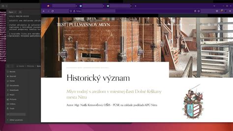 screenshot webovej stránky projektu 