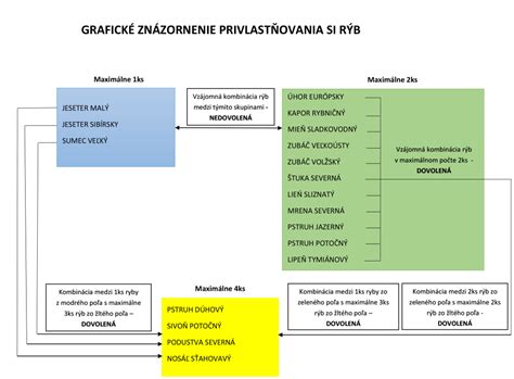 Grafické znázornenie denného rozloženia jedál