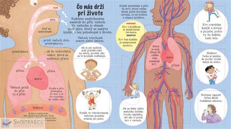 Ilustrácia znázorňujúca proces ketózy v ľudskom tele.