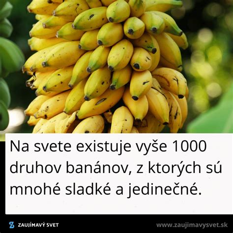 Ilustrácia rôznych druhov banánov a ich nutričné hodnoty