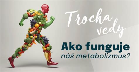 Ilustračná schéma zobrazujúca energetický výdaj tela, rozdelený na bazálny metabolizmus a fyzickú aktivitu.