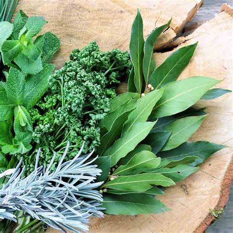 Obrázok znázorňujúci rôzne druhy korenia a byliniek.