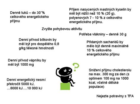 Ilustrácia znázorňujúca zložky celkového denného energetického výdaja