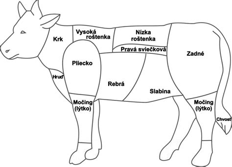 Obraz znázorňujúci rôzne druhy mäsa, rýb a mliečnych výrobkov, ktoré sú vhodné pre krvnú skupinu B.